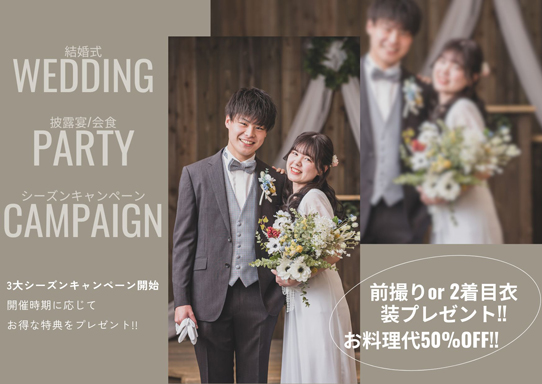 wedding party campaign